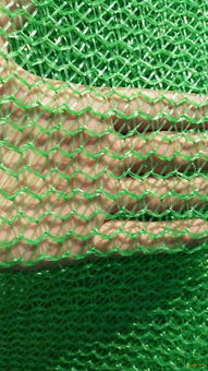 綠色3針工地蓋土網 實體廠家直銷的高效防塵解決方案